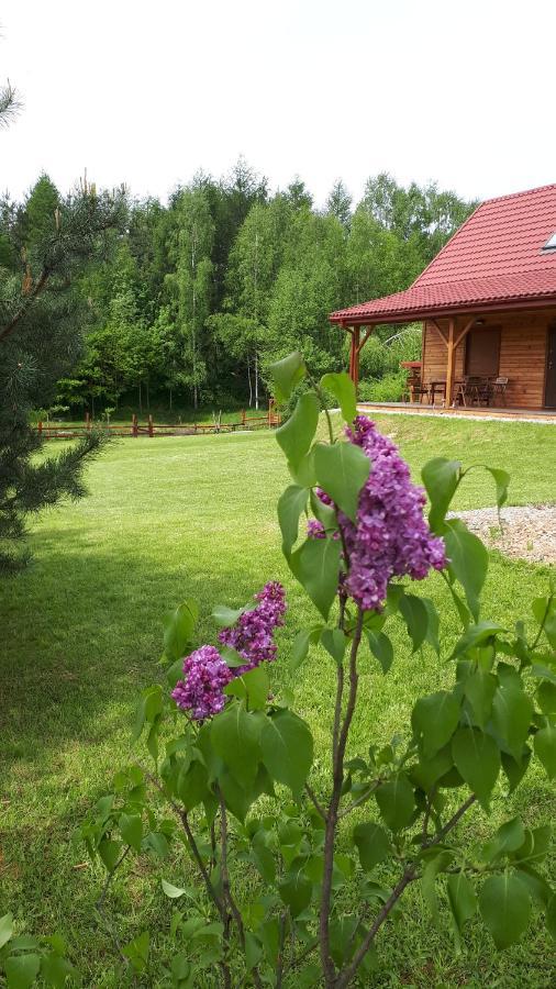 Dom Nad Dolina Sanu Villa Ruszelczyce Exterior foto