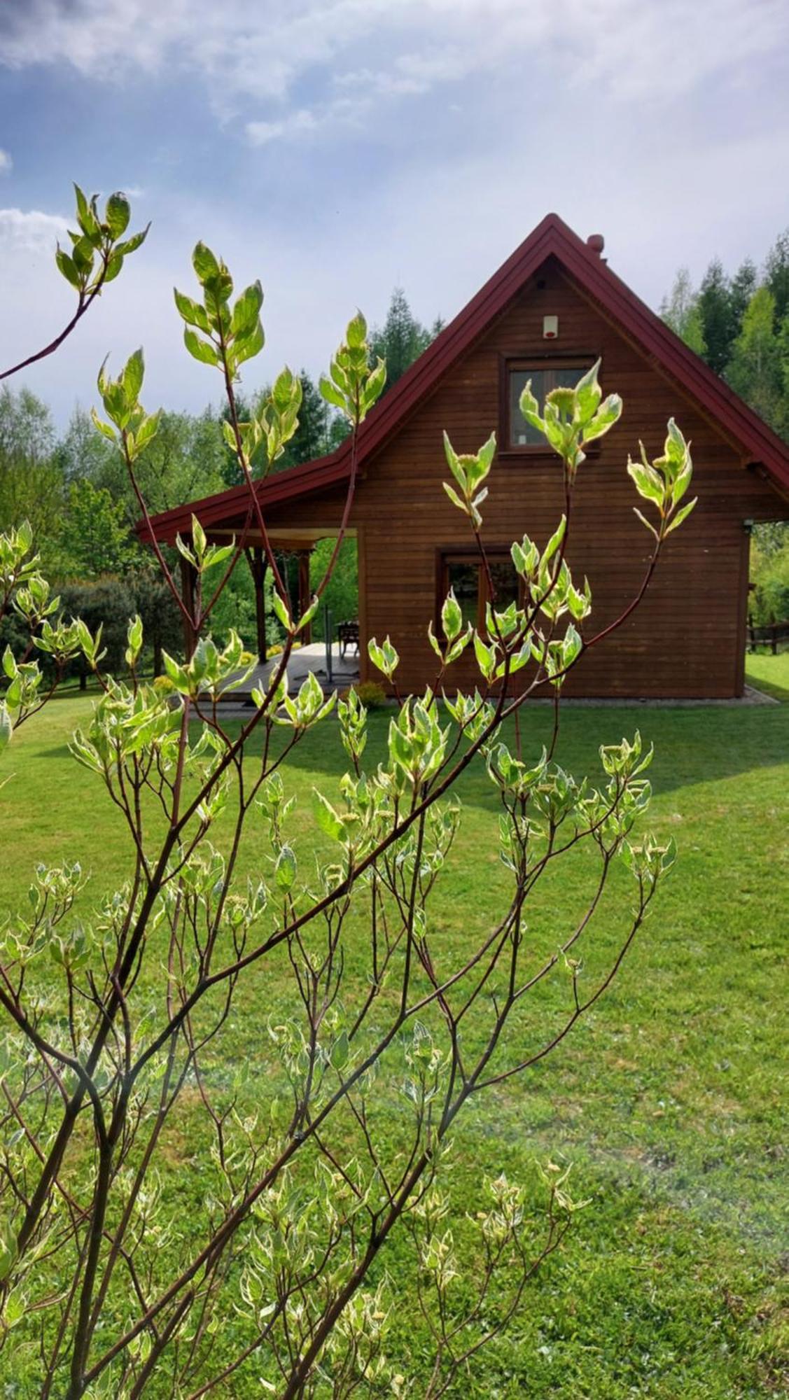 Dom Nad Dolina Sanu Villa Ruszelczyce Exterior foto